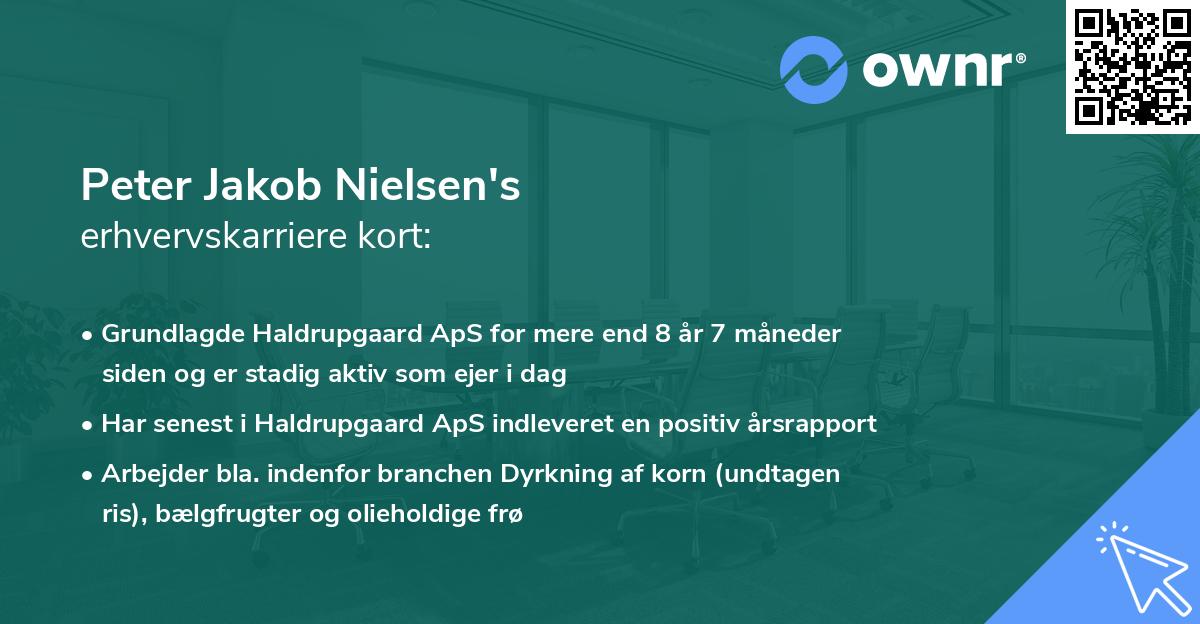 Peter Jakob Nielsen's erhvervskarriere kort
