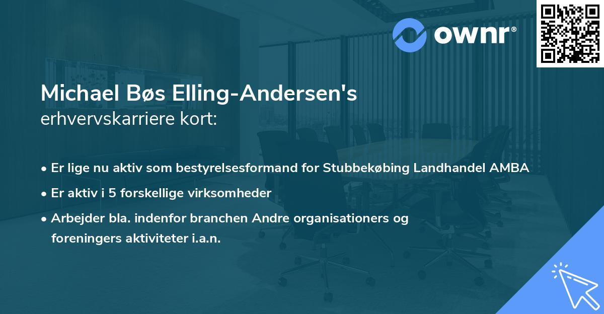 Michael Bøs Elling-Andersen's erhvervskarriere kort