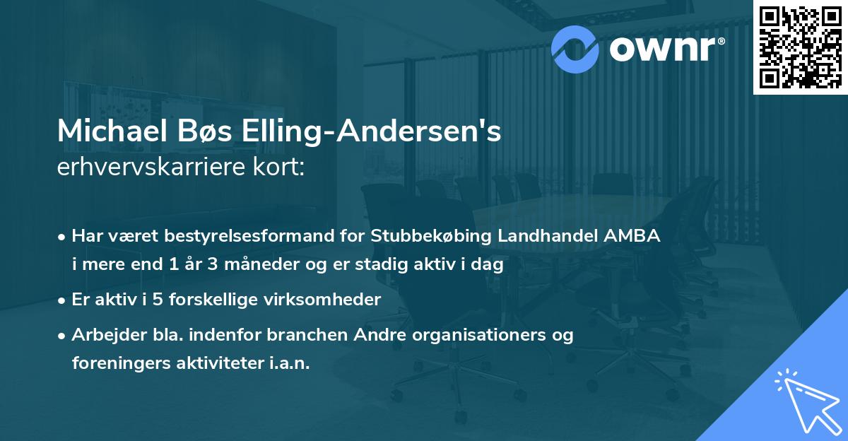 Michael Bøs Elling-Andersen's erhvervskarriere kort