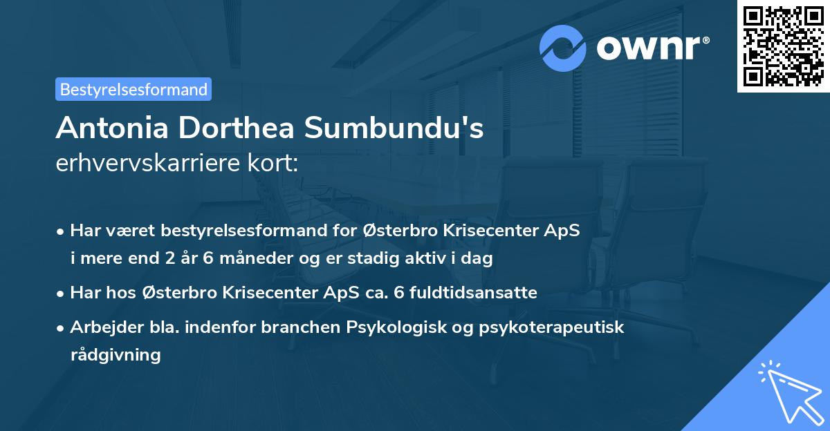 Antonia Dorthea Sumbundu's erhvervskarriere kort