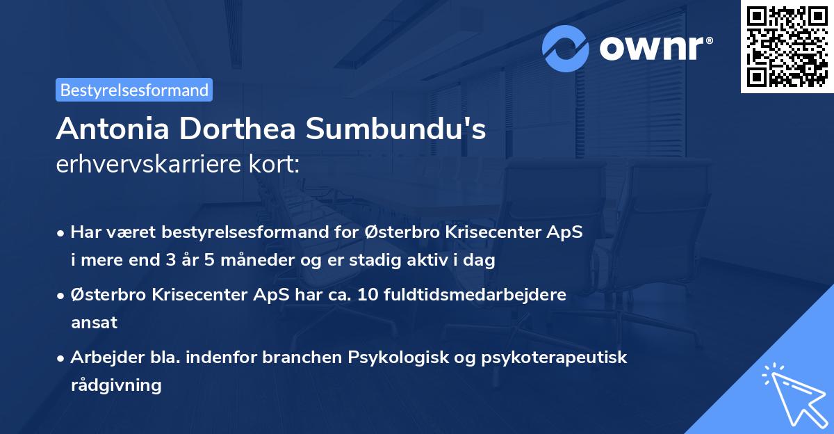 Antonia Dorthea Sumbundu's erhvervskarriere kort