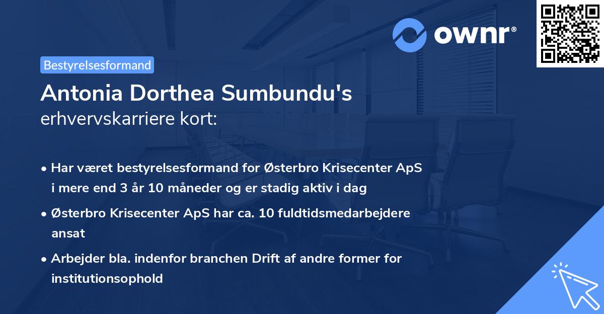 Antonia Dorthea Sumbundu's erhvervskarriere kort