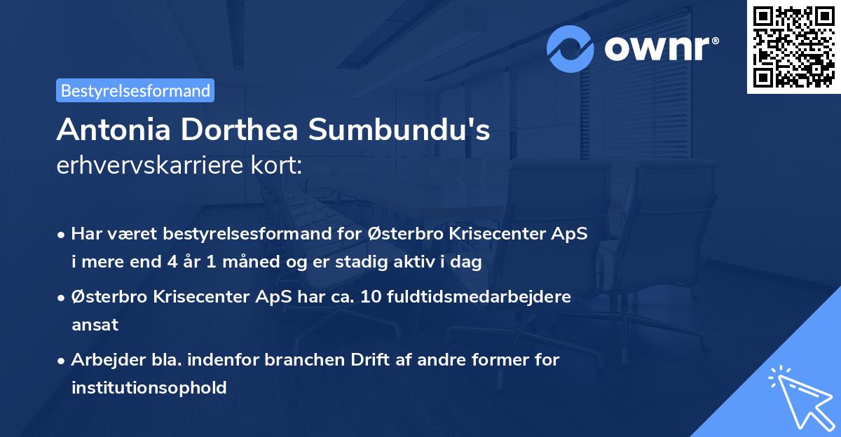 Antonia Dorthea Sumbundu's erhvervskarriere kort