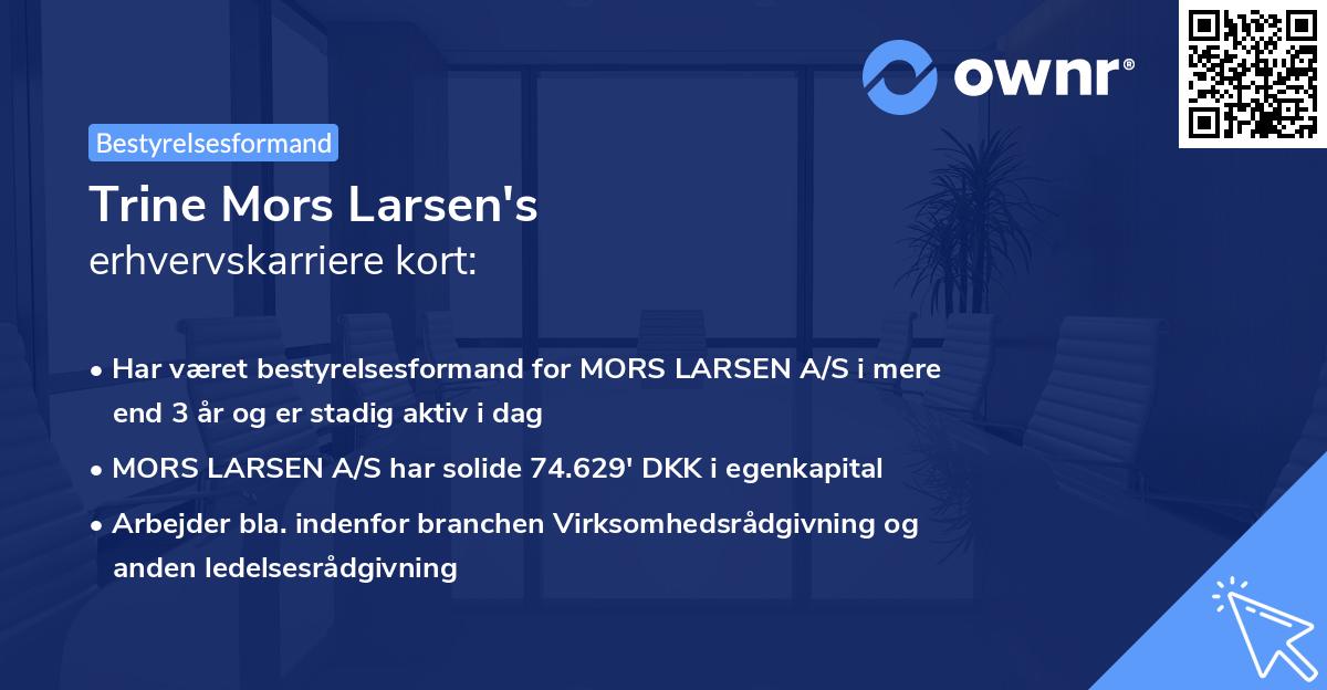 Trine Mors Larsen's erhvervskarriere kort