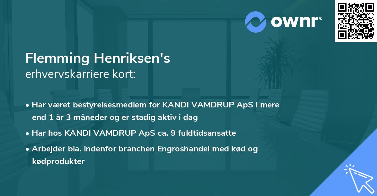 Flemming Henriksen's erhvervskarriere kort