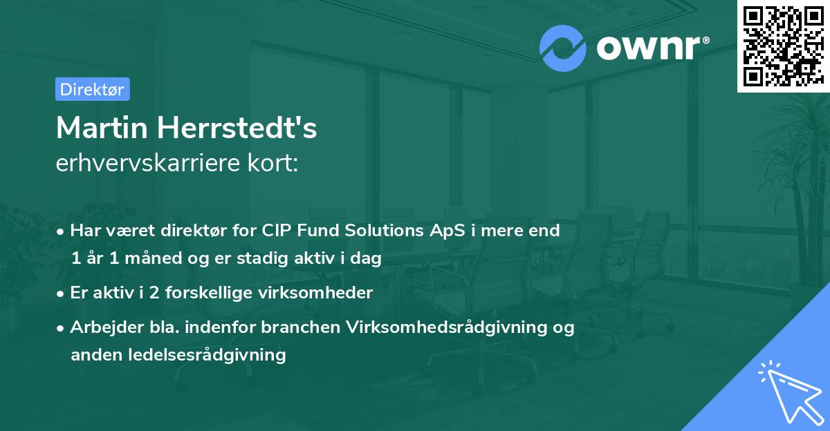 Martin Herrstedt's erhvervskarriere kort