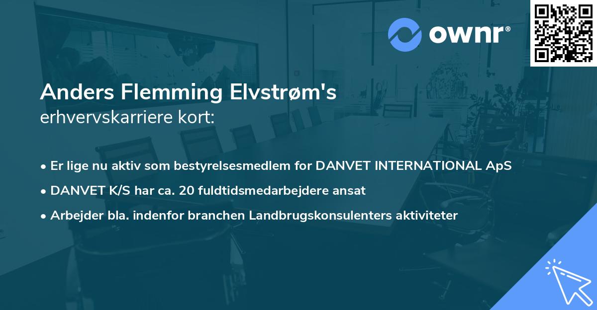 Anders Flemming Elvstrøm's erhvervskarriere kort