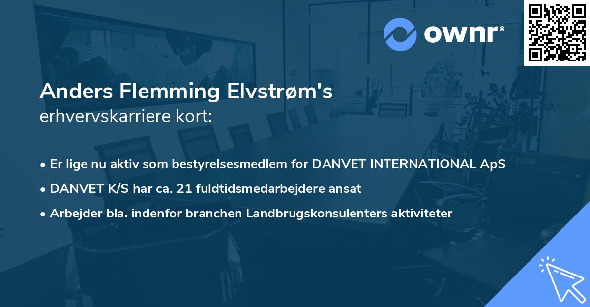 Anders Flemming Elvstrøm's erhvervskarriere kort