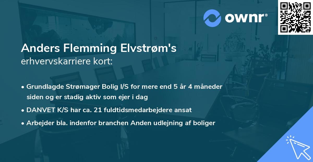 Anders Flemming Elvstrøm's erhvervskarriere kort