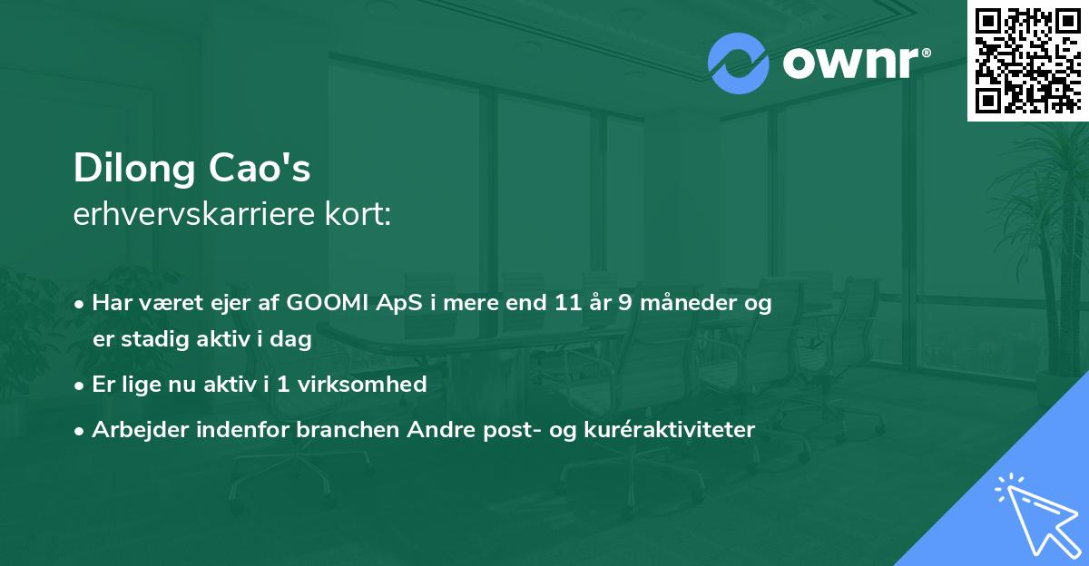 Dilong Cao's erhvervskarriere kort
