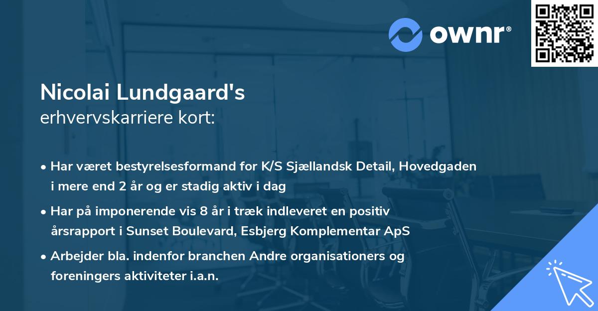 Nicolai Lundgaard's erhvervskarriere kort