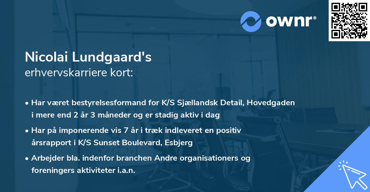 Nicolai Lundgaard's erhvervskarriere kort