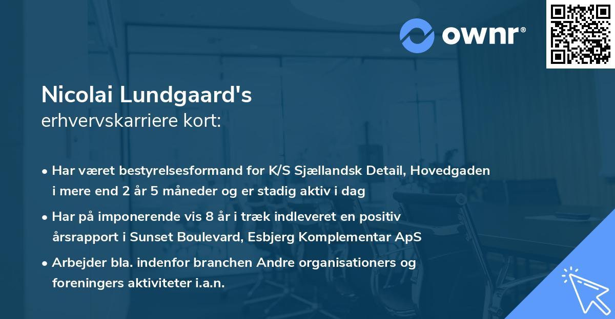 Nicolai Lundgaard's erhvervskarriere kort