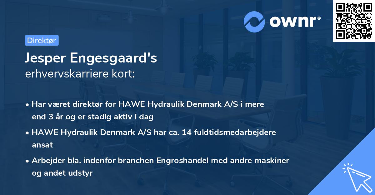Jesper Engesgaard's erhvervskarriere kort