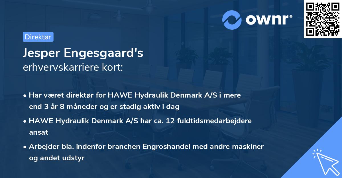 Jesper Engesgaard's erhvervskarriere kort