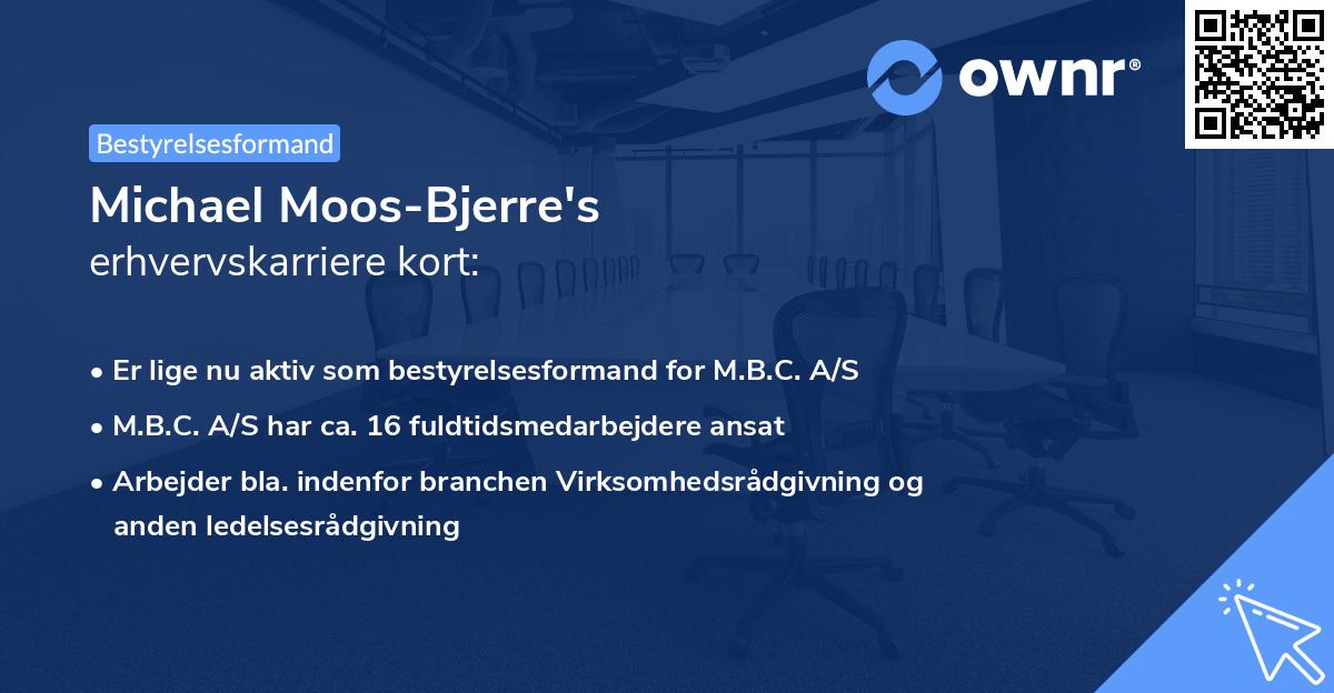 Michael Moos-Bjerre's erhvervskarriere kort
