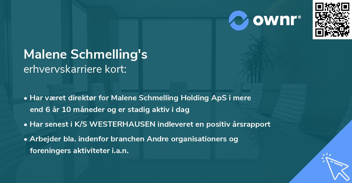 Malene Schmelling's erhvervskarriere kort