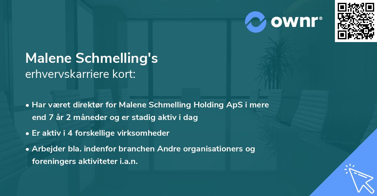 Malene Schmelling's erhvervskarriere kort
