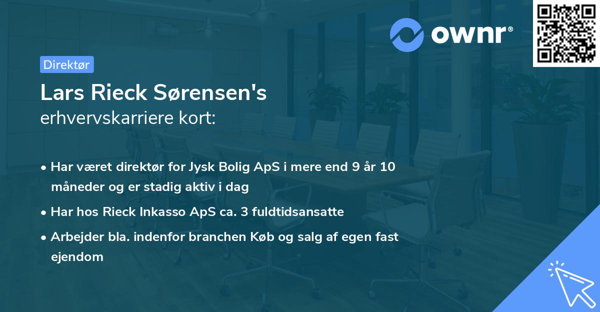 Lars Rieck Sørensen's erhvervskarriere kort