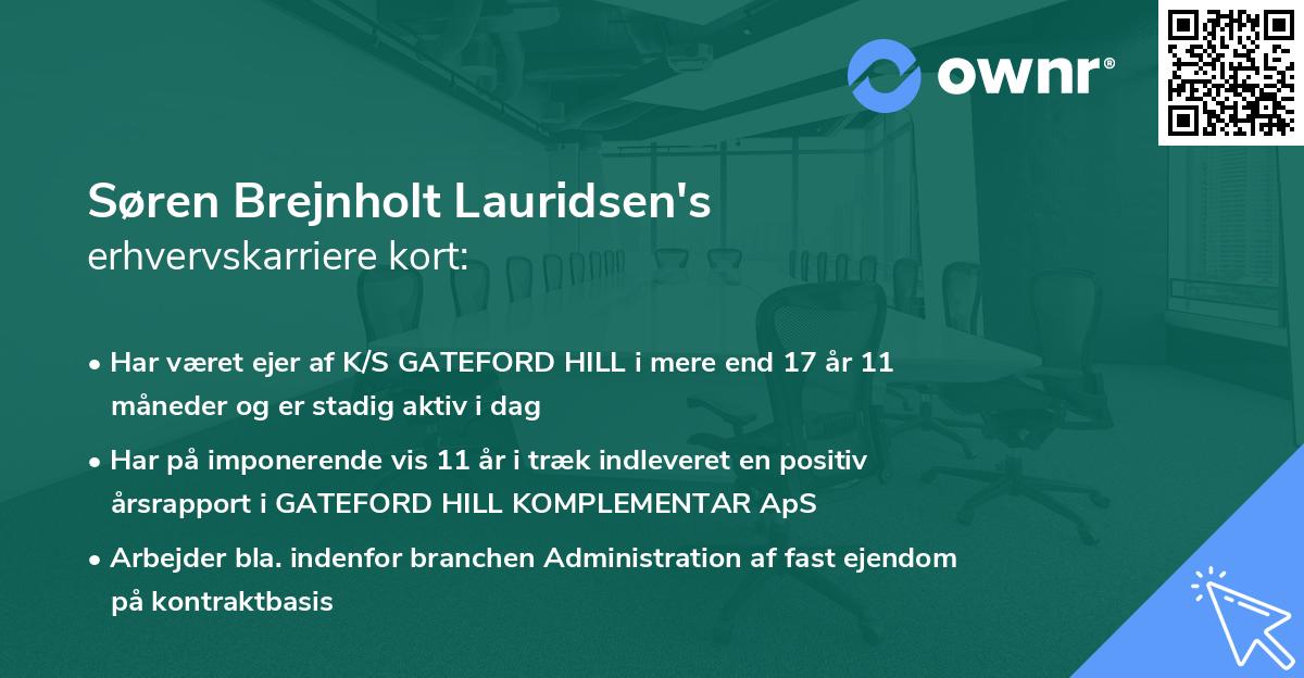 Søren Brejnholt Lauridsen's erhvervskarriere kort
