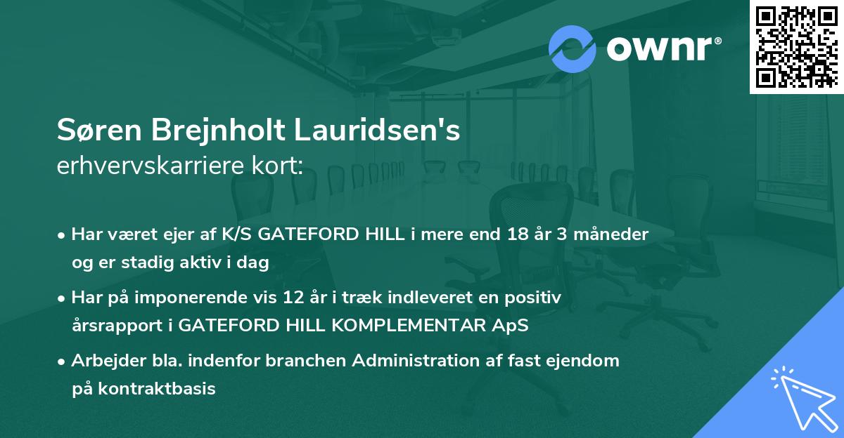 Søren Brejnholt Lauridsen's erhvervskarriere kort