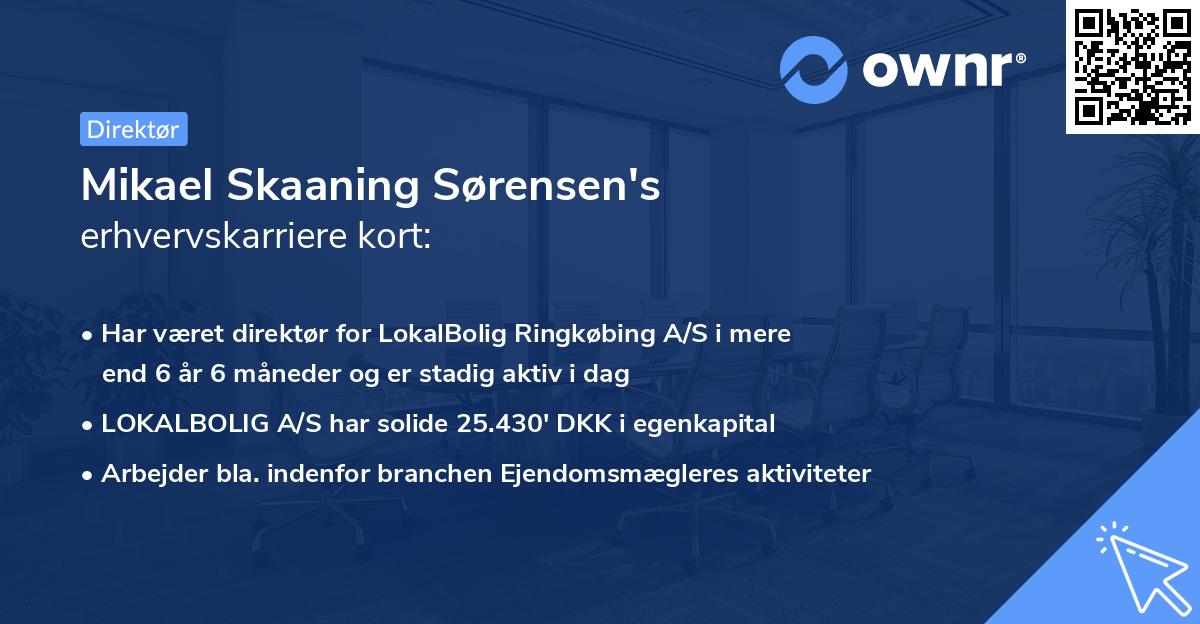 Mikael Skaaning Sørensen's erhvervskarriere kort