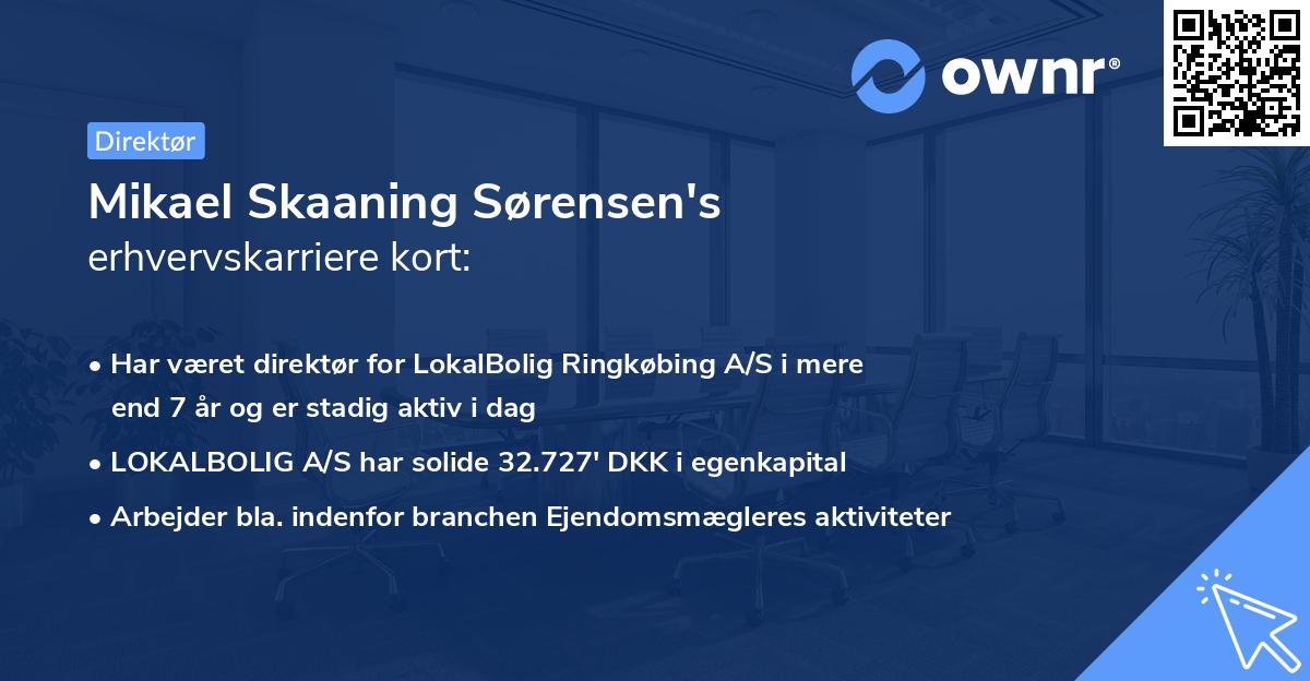 Mikael Skaaning Sørensen's erhvervskarriere kort