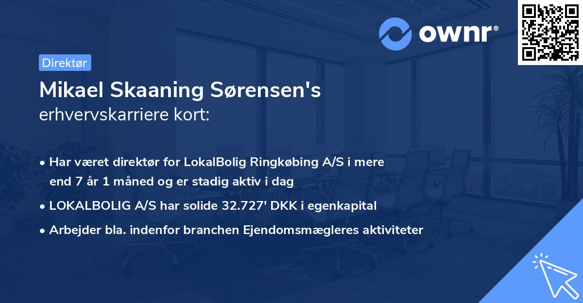 Mikael Skaaning Sørensen's erhvervskarriere kort