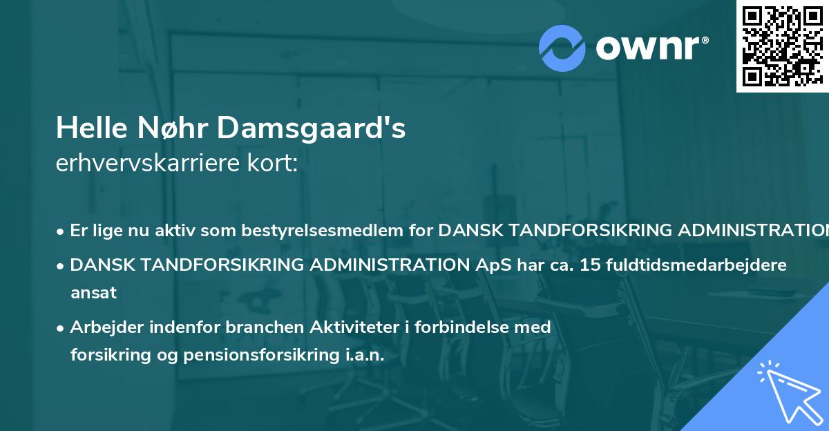 Helle Nøhr Damsgaard's erhvervskarriere kort