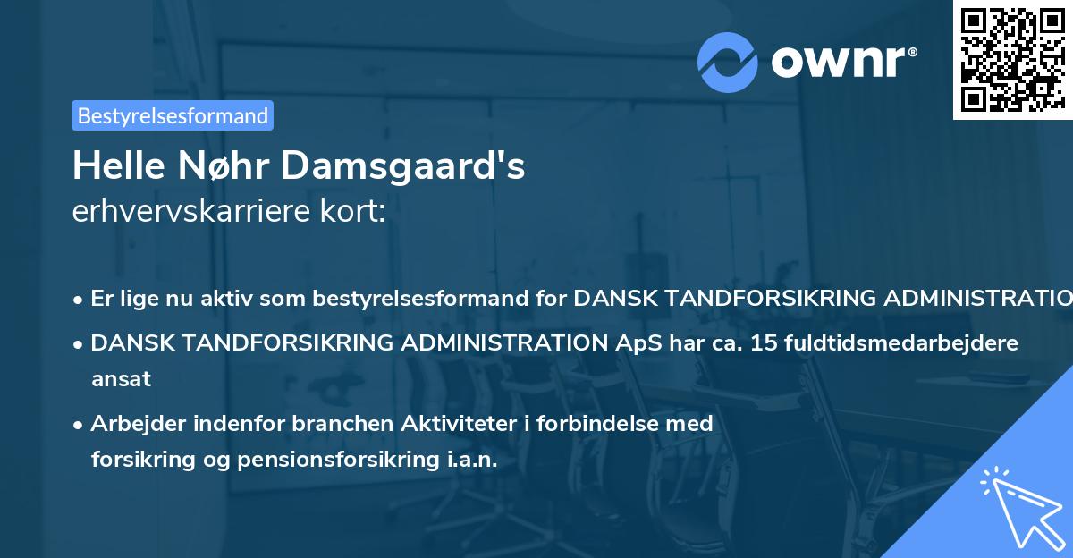 Helle Nøhr Damsgaard's erhvervskarriere kort