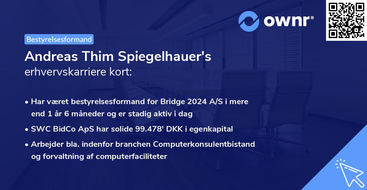 Andreas Thim Spiegelhauer's erhvervskarriere kort