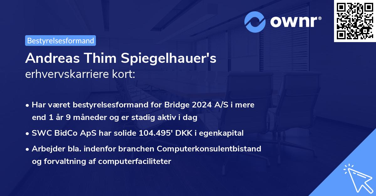 Andreas Thim Spiegelhauer's erhvervskarriere kort