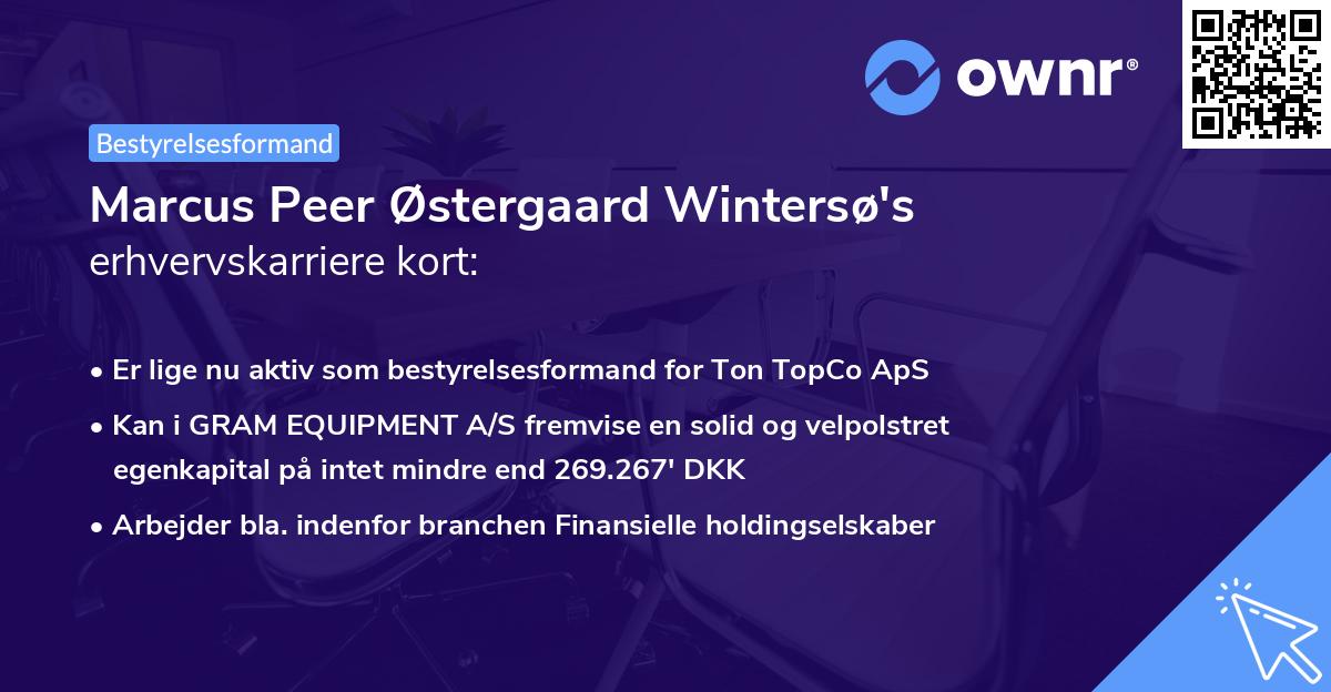 Marcus Peer Østergaard Wintersø's erhvervskarriere kort