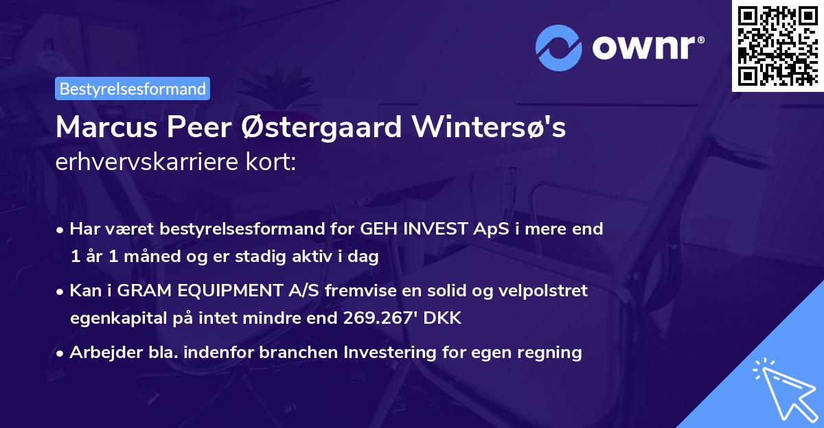 Marcus Peer Østergaard Wintersø's erhvervskarriere kort