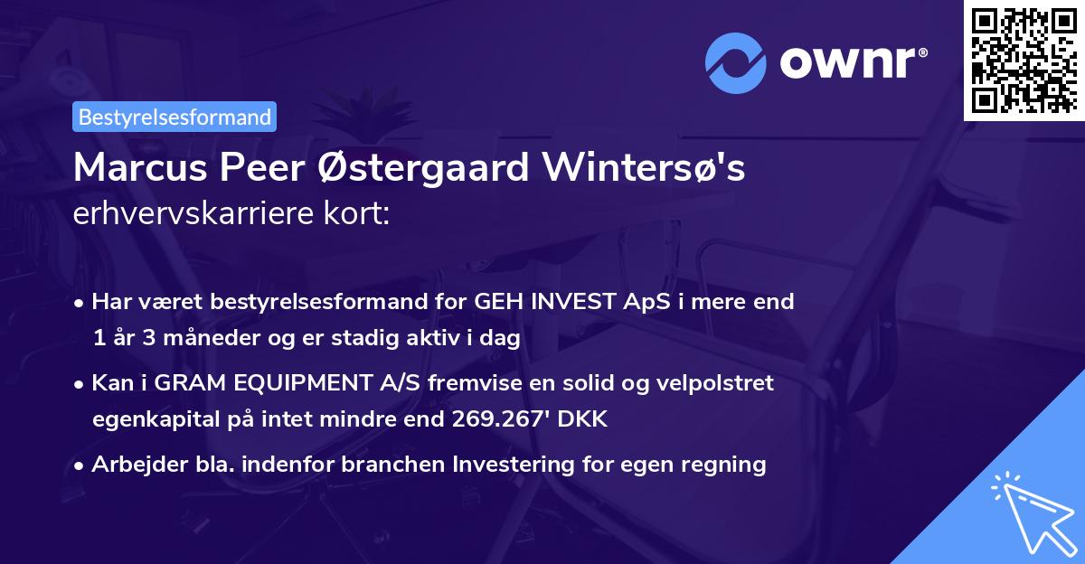 Marcus Peer Østergaard Wintersø's erhvervskarriere kort
