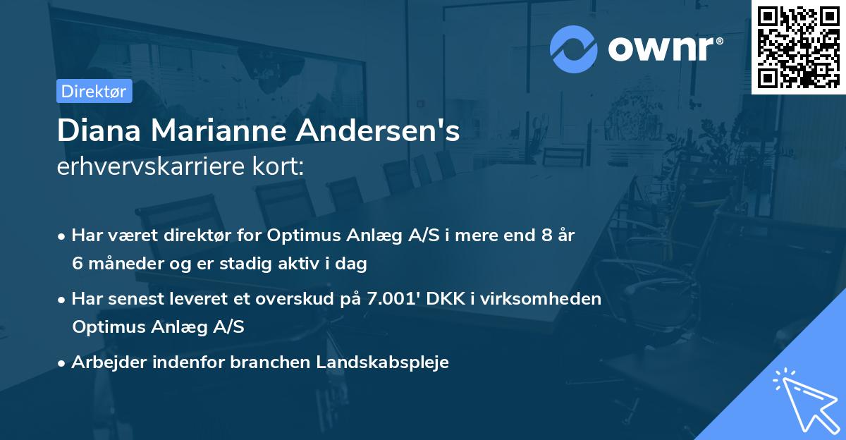 Diana Marianne Andersen's erhvervskarriere kort