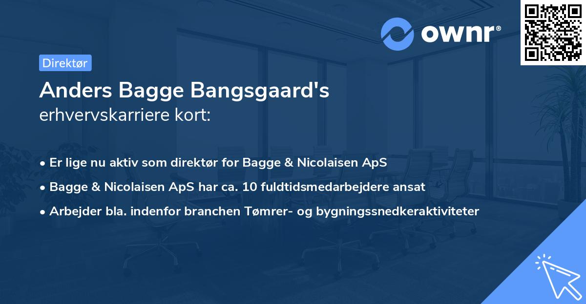 Anders Bagge Bangsgaard's erhvervskarriere kort