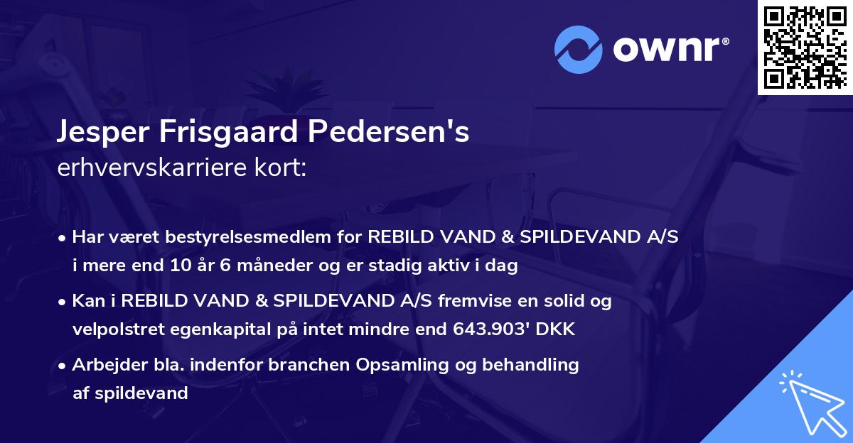 Jesper Frisgaard Pedersen's erhvervskarriere kort