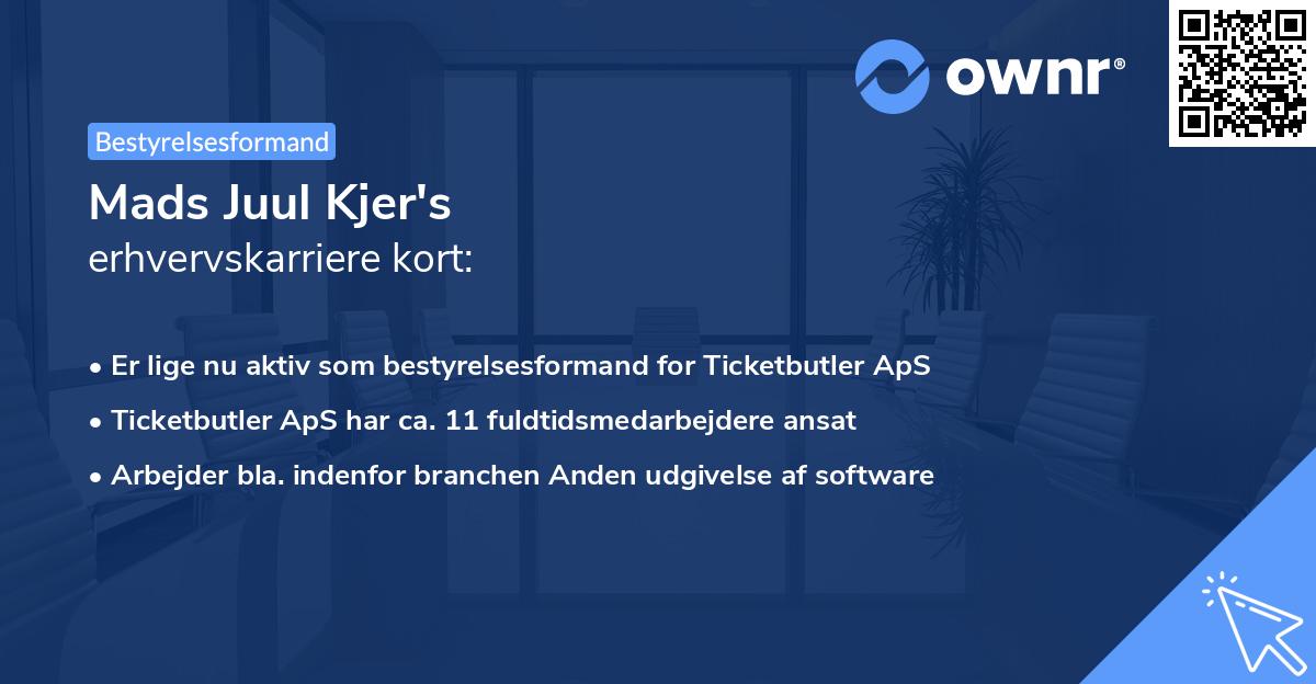 Mads Juul Kjer's erhvervskarriere kort