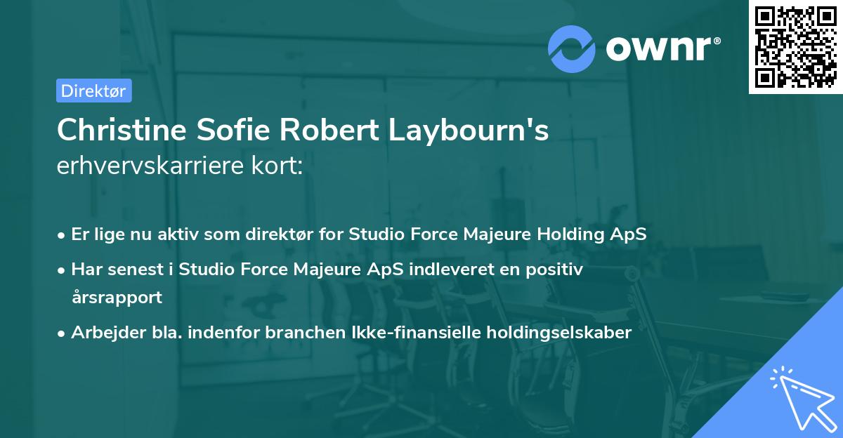 Christine Sofie Robert Laybourn's erhvervskarriere kort