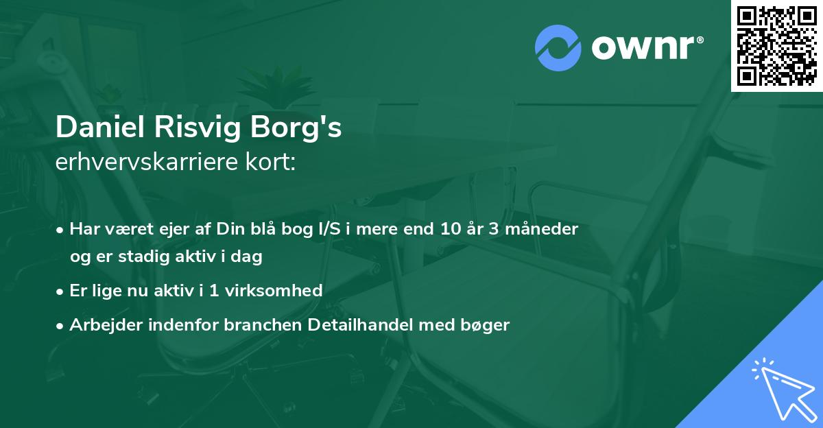 Daniel Risvig Borg's erhvervskarriere kort