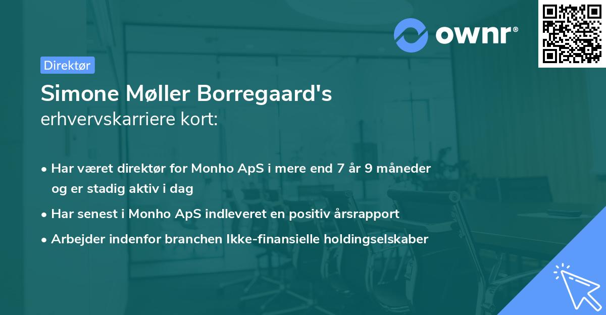 Simone Møller Borregaard's erhvervskarriere kort