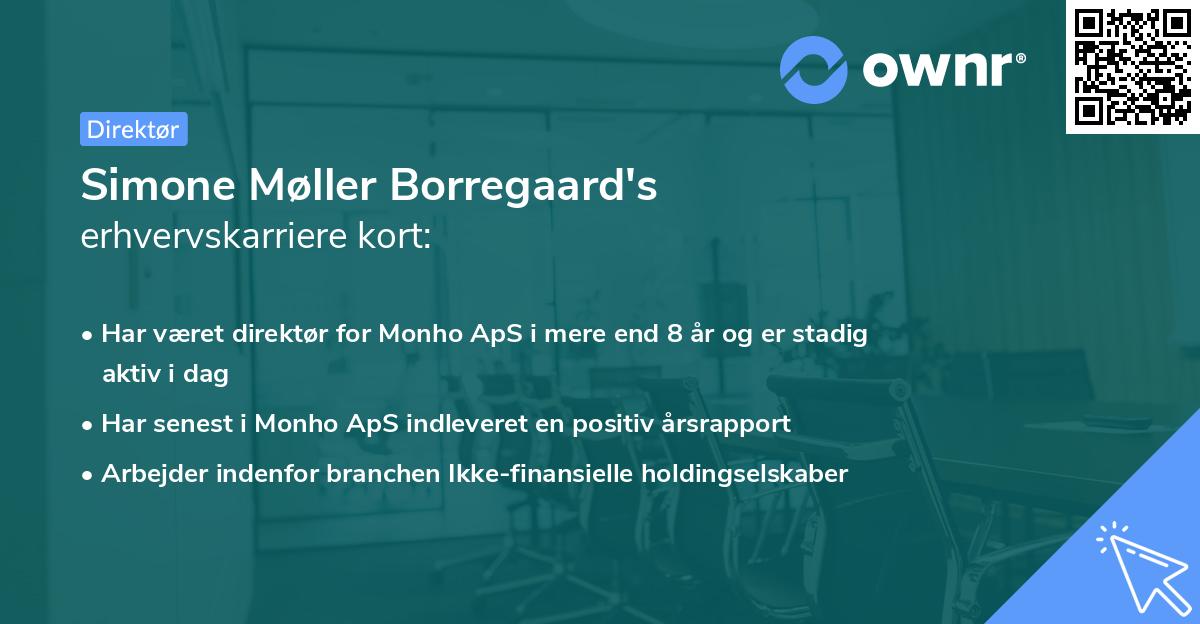 Simone Møller Borregaard's erhvervskarriere kort