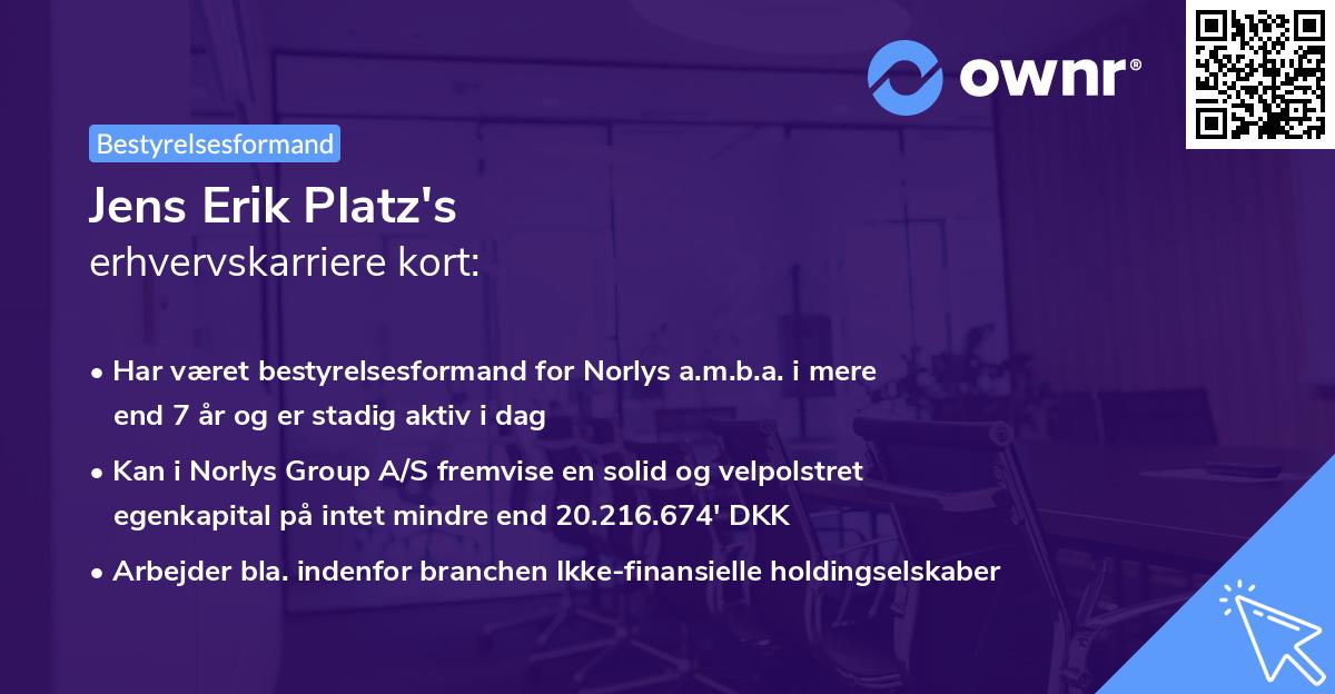 Jens Erik Platz's erhvervskarriere kort