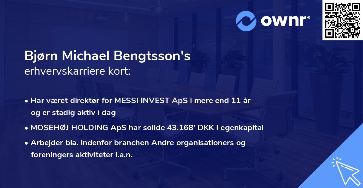 Bjørn Michael Bengtsson's erhvervskarriere kort