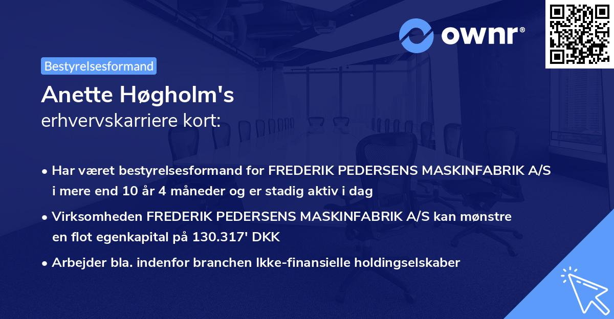 Anette Høgholm's erhvervskarriere kort