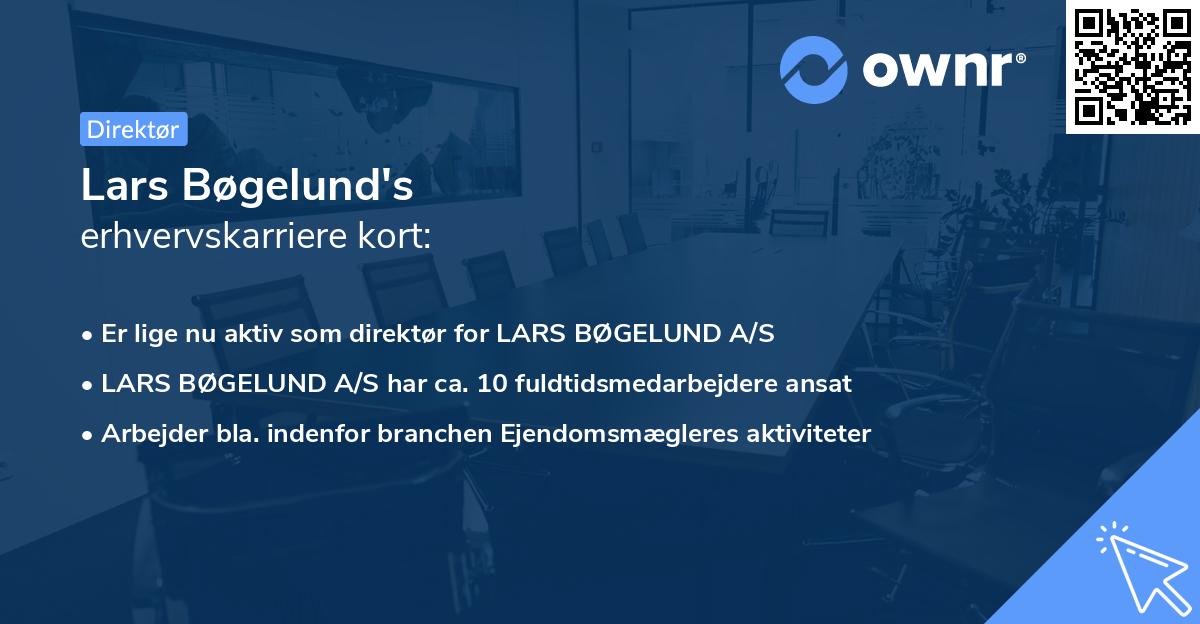 Lars Bøgelund's erhvervskarriere kort