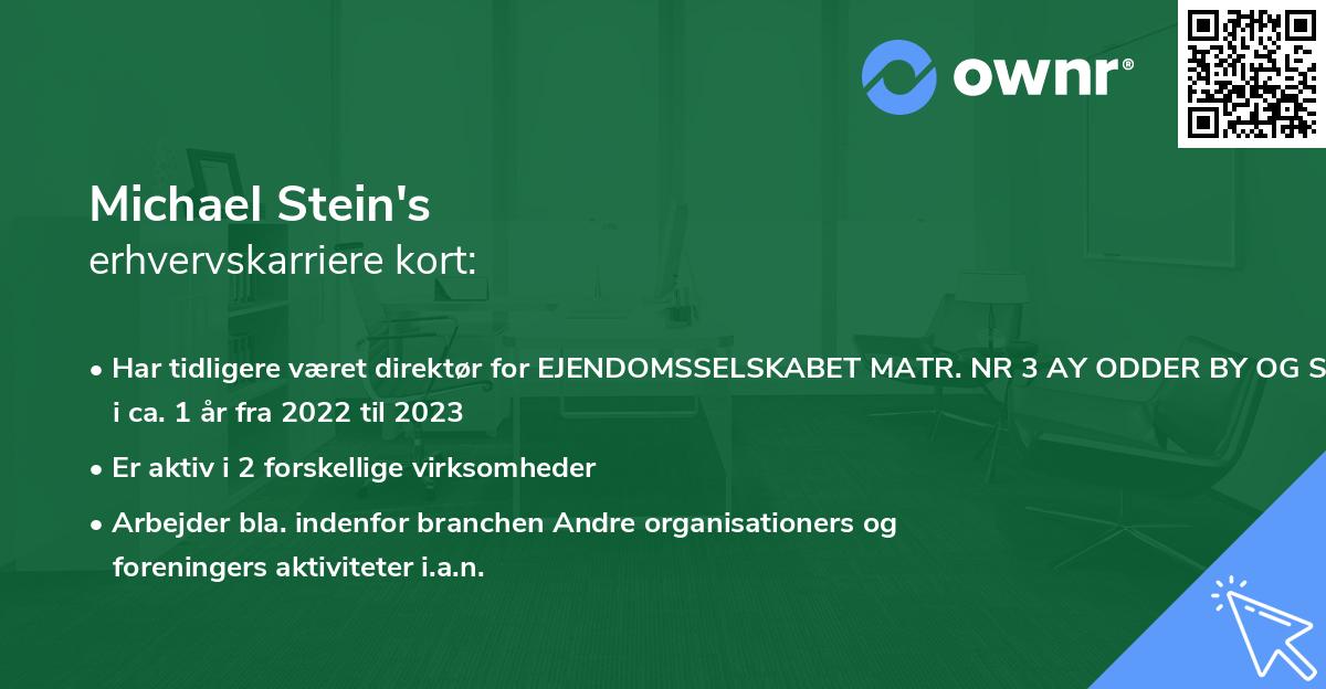Michael Stein's erhvervskarriere kort