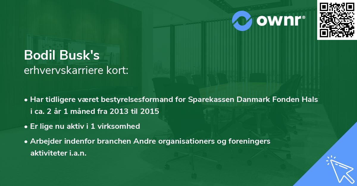 Bodil Busk's erhvervskarriere kort