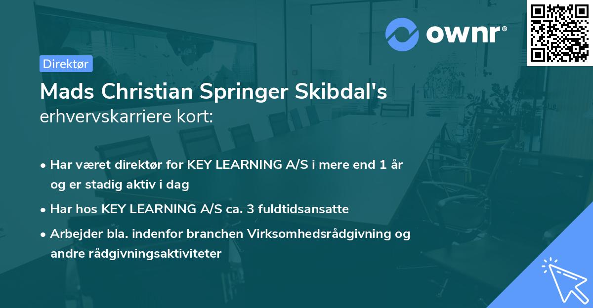 Mads Christian Springer Skibdal's erhvervskarriere kort